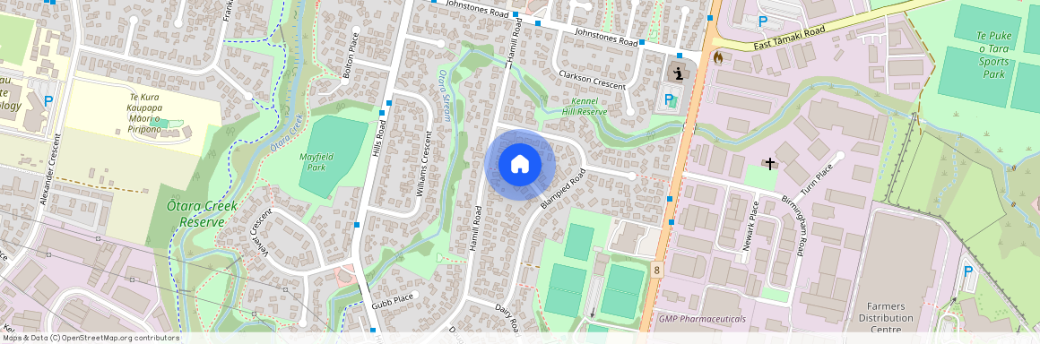 10 Leonard Place, Otara, Manukau City