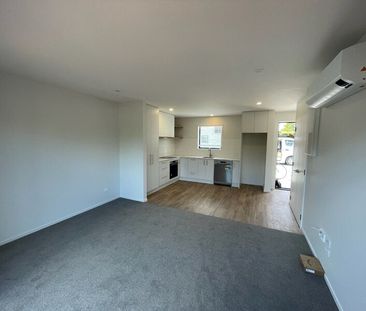Brand new home, walking distance to the University! - Photo 4