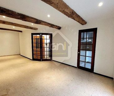 Location Appartement 1 pièce 41m² GONFARON 83590 - Photo 3