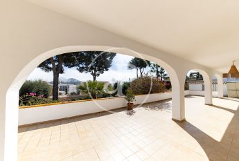 Ground floor apartment for rent in Palmanova