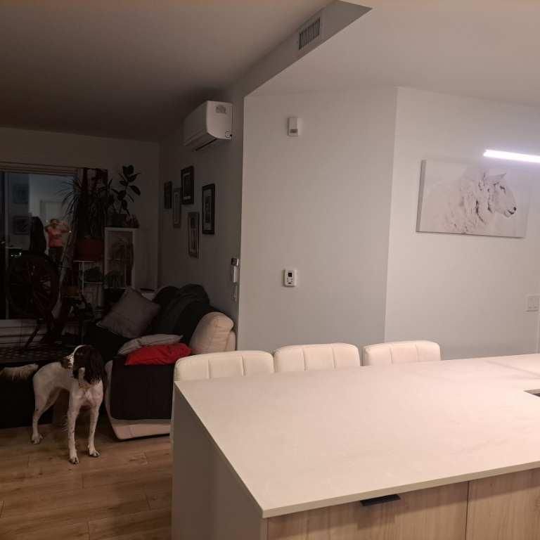 4 demi + Bureau/DROIT chiens et chats - Photo 1