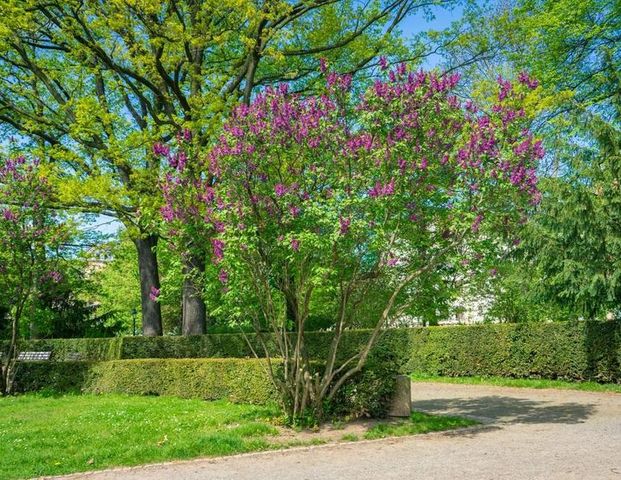 Großzügige 2-Raum-Wohnung im Altbau - Photo 1
