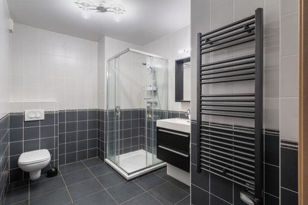 Location Appartement 2 pièces Meublé 44m² ANNECY 74000 - Photo 5