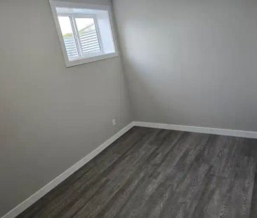 Brand New Two bedrooms and one bath Legal Basement Suite with a Pri... - Photo 1