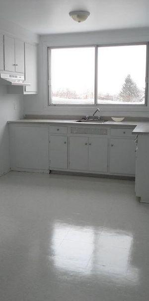 4 1/2 Alouer St.Michel - Photo 1