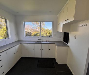 Newly Renovated Sunny Home - Photo 1
