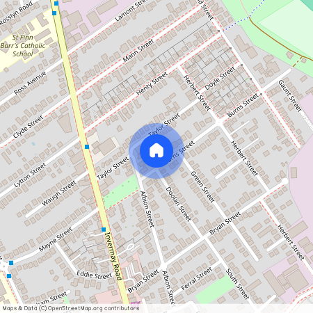 6 Burns Street, 7248, Invermay