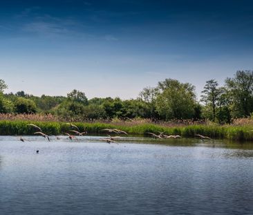 Emerald Avenue, Fleet, Hampshire, GU51 - Photo 2