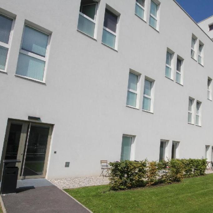 NOVE CIJENE!!! Apartman iz snova za studente i mlade profesionalce ALL INCL. , msgr - Photo 1