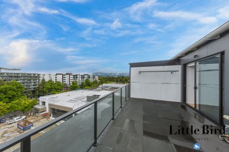 Luxury Penthouse Living - Photo 3