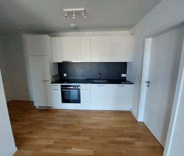 LE TICLE : Appartements à louer - Foto 2