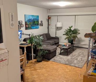 Kerrisdale 1 bedroom basement suite alternative - Photo 4