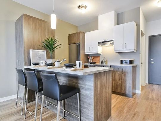 6000 Tourbière Street - Photo 1