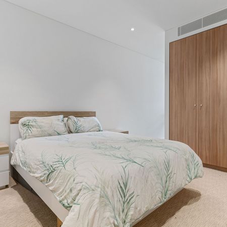 BB307/6-18 University Road, Miranda NSW 2228 - Apartment For Rent | Domain - Photo 3