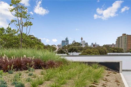 217/10-20 McEvoy Street Waterloo - Photo 4