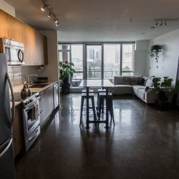 Renovated Bright & Spacious Studio - Pet-Friendly, Unfurnished - Photo 4