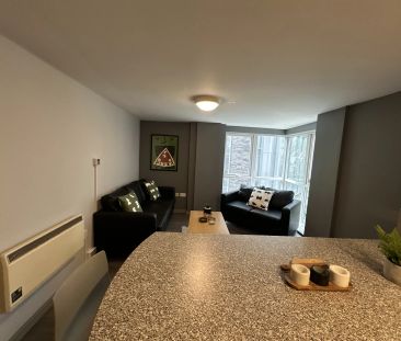 Large Highest Double Studio - Photo 4