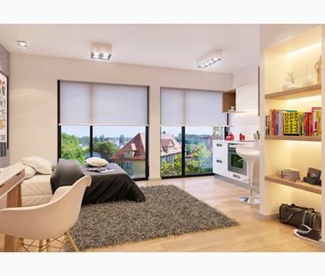 Standard Accessible Studio - Photo 4