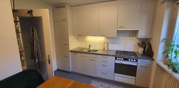 "Am Fusse der Rebbergen von Uster" - Photo 2