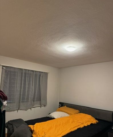 8952 Schlieren - Photo 3