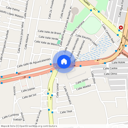 Boulevard Alejandro de la Cruz Saucedo, 20925 Jesús María, AGU, Mexico