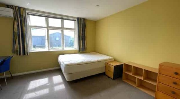 Fully Furnished Studio for 2026 - Photo 1