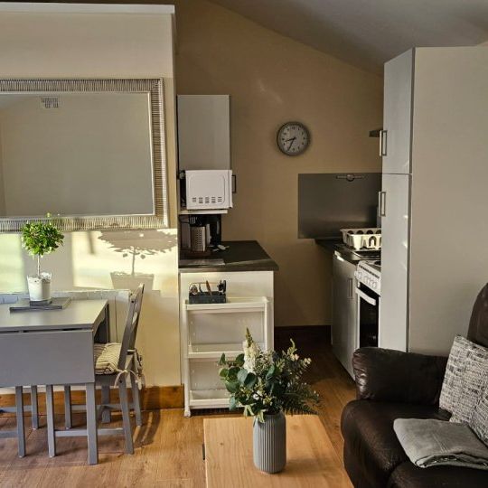 Studio for rent in Dublin - Photo 1