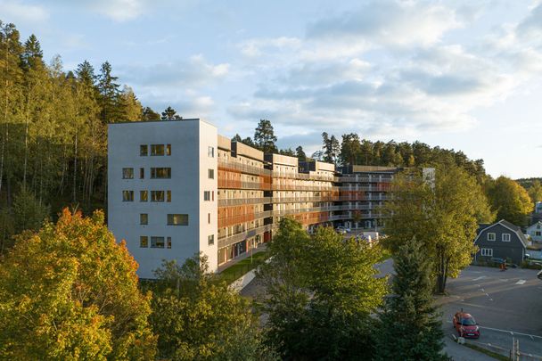 Bergfotsvägen, Tumba - Photo 1
