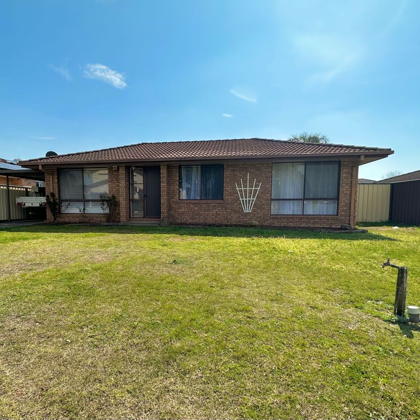 Renovated 3 Bedroom Home - Photo 1