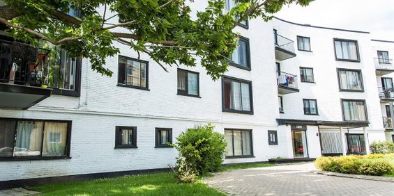 308-6001 - 6001 Chemin De La Côte Saint-Luc, Montréal - Photo 3