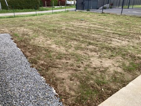 Location Maison 4 pièces 81 m2 à Guégon - Photo 3