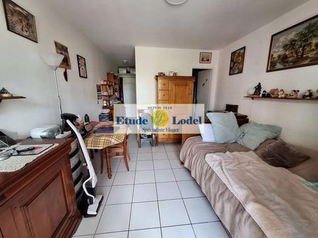 Appartement Fréjus - Photo 3