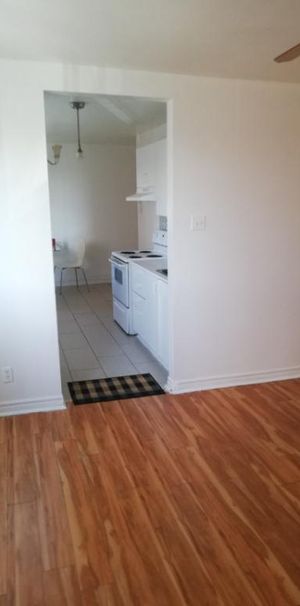 Appartement 3 1/2 à louer 1er décembre Montréal-Nord - Photo 1