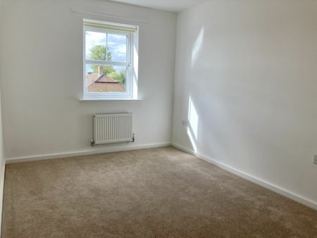 The Herschel - Photo 4