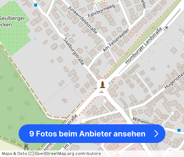 Saalburgstraße, Friedrichsdorf - Foto 1