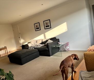 Albion Park - Photo 2