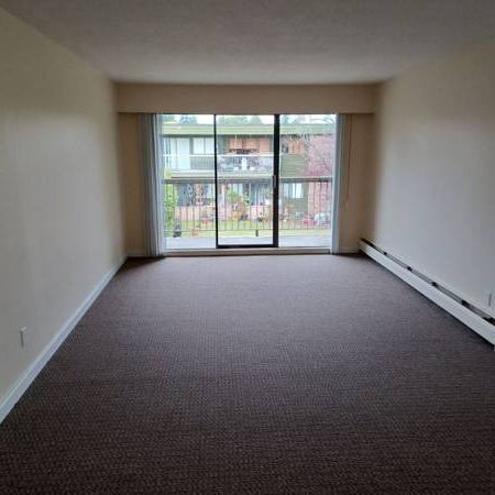 Newly Renovated 1 Bedroom Available Now at Delta West! - Photo 1