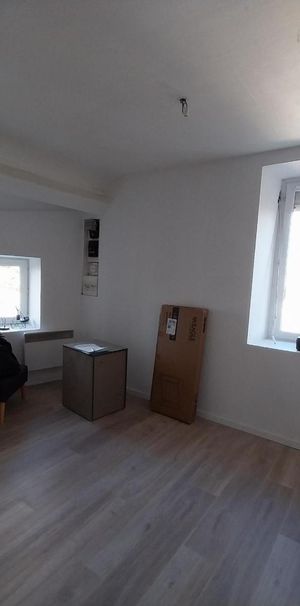 Location Appartement 1 pièce 16m² NANTES 44000 - Photo 1