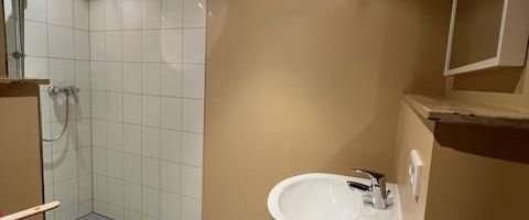 Individuelles 1 Zimmer DG-Penthouse-Apartment mit Dachgarten - frei ab sofort - Foto 1