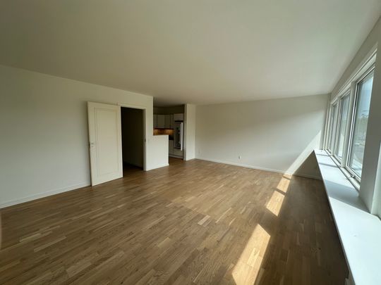 Stor og lys lejlighed tæt på Ikast storcenter - Foto 1