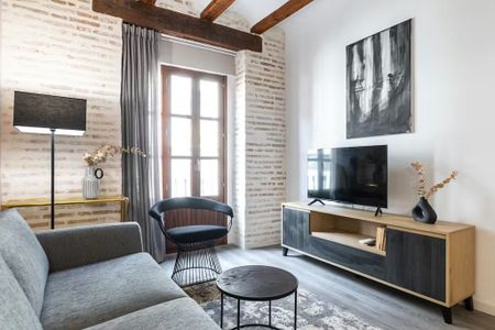 Carrer Botànic, Valencia, Valencian Community 46008 - Photo 5