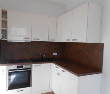 Schloßchemnitz * Lichtdurchflutetes Apartment mit EBK * 01.02.2026 - Photo 6