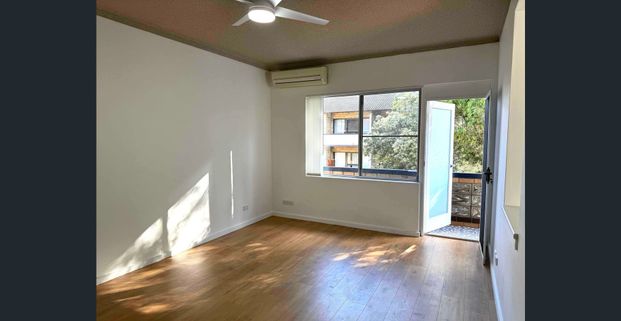 Spacious Newly Renovated Apartment in Prime Allawah Location - Photo 1