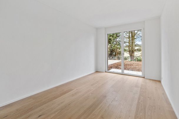 2.5 Zimmer, 59 m², 1. Stock - Photo 1