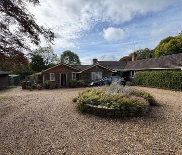 1 bedroom bungalow to rent - Photo 1