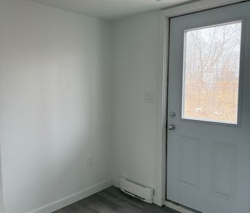 For Lease - 127 Highriver Trail Unit# (LOWER), Welland, Ontario - Photo 5