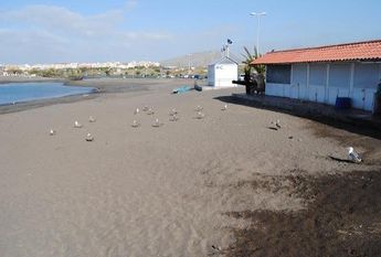 Studio for rent in Costa del Silencio