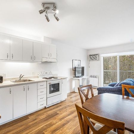 Petit condo/appart studio à Sutton tout inclus location annuelle - Photo 3