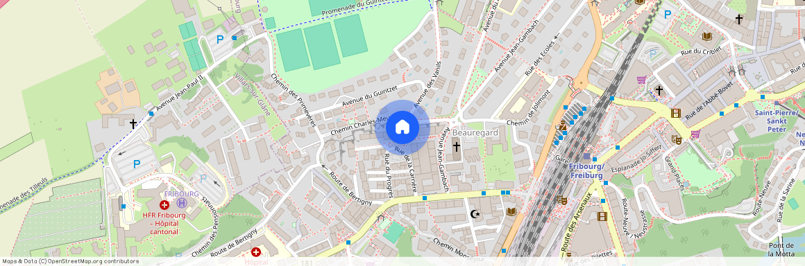 Rue de la Carrière 22, 1700, Fribourg