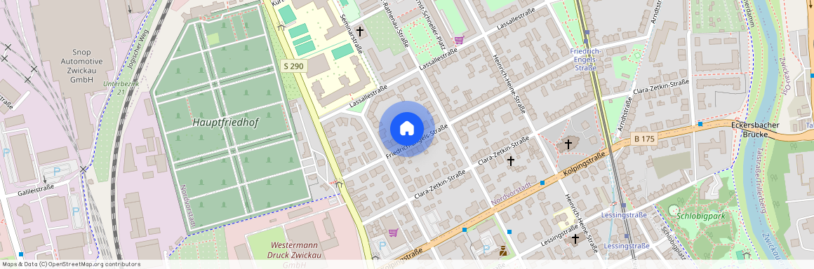 Friedrich-Engels-Straße 19, 08058 Zwickau